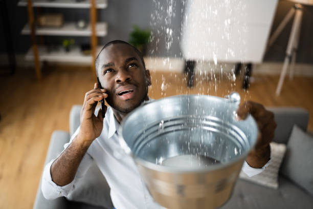 Best Flood restoration services  in Bella Vista, AR