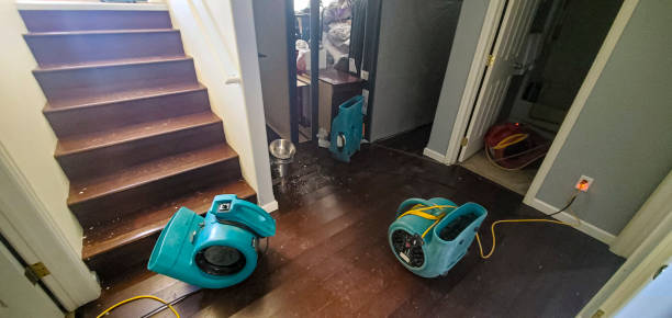 Best Water damage restoration near me  in Bella Vista, AR