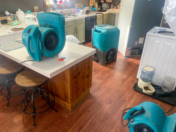 Best Water damage cleanup near me  in Bella Vista, AR