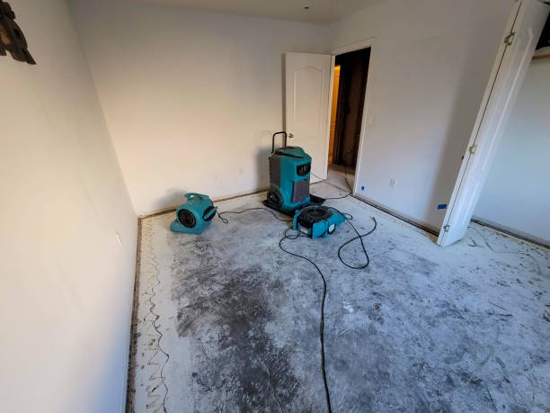 Best Flood damage cleanup  in Bella Vista, AR