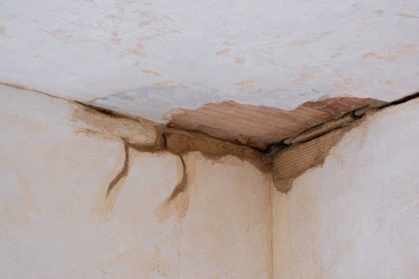 Best Flooded house restoration  in Bella Vista, AR