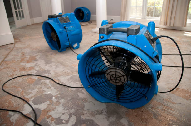 Sewage cleanup and water damage restoration in Bella Vista, AR