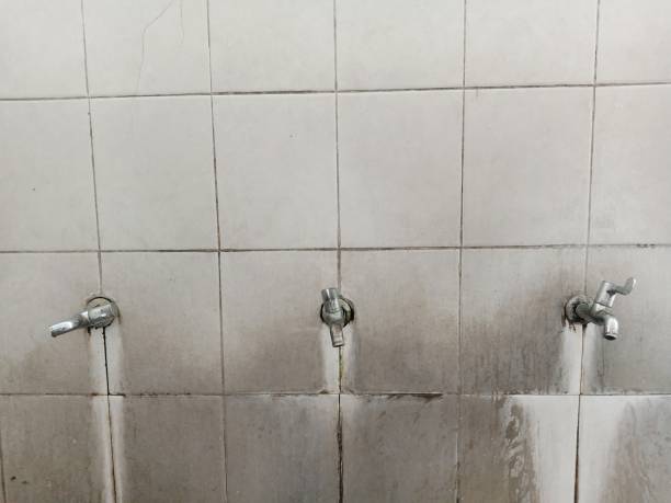 Best Sewage cleanup and water damage restoration  in Bella Vista, AR